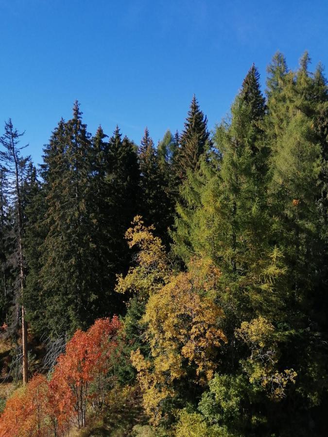 Štrbské Pleso Panorama Apartmany מראה חיצוני תמונה