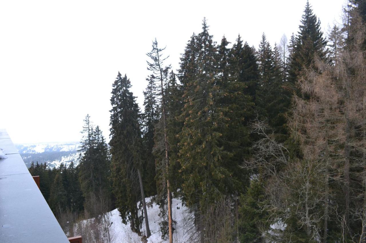 Štrbské Pleso Panorama Apartmany מראה חיצוני תמונה