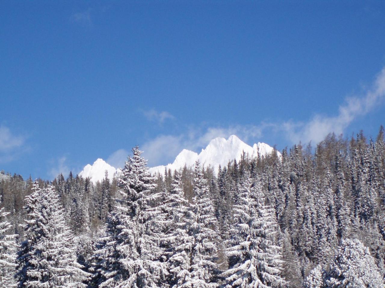 Štrbské Pleso Panorama Apartmany מראה חיצוני תמונה